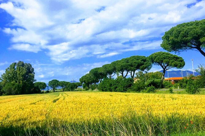 Following the Truffle Trail and Pisa Gastronomic Tour From Lucca - Discovering the Meeting and End Point