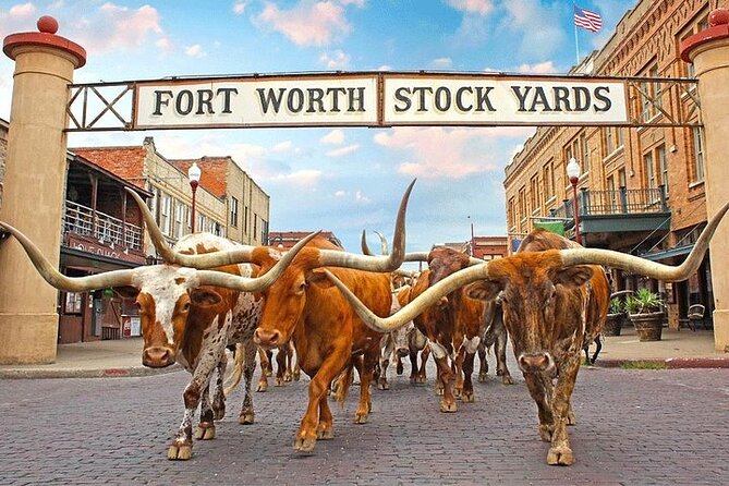 Fort Worth Highlights, Billy Bob’s & John Wayne Review | Travel Buddies