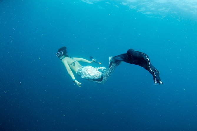 Freediver Advanced (Start at Koh Chang) - Safety and Weather Considerations