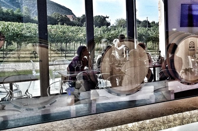 From Abano Montegrotto, Wine Tour in the Euganean Hills - Booking Your Experience