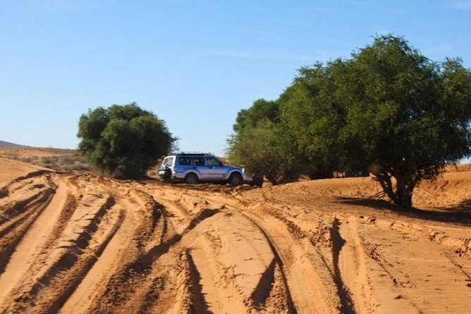From Agadir 08 Days Round Trip to Southern Morocco. - Pricing and Booking