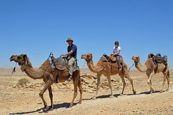 From Agadir or Port Trip to Small Sahara of Massa and Tiznit With Lunch - Lunch With a Berber Family