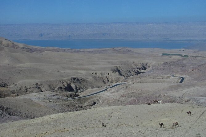 From Amman to West ( Madaba, Mt Nebo, Baptism Site and Dead Sea) - Traveler Experiences