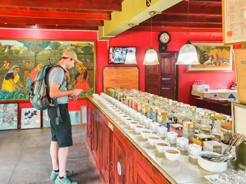From Bentota: Southern Coast Highlights Private Day Tour - Kosgoda Turtle Hatchery
