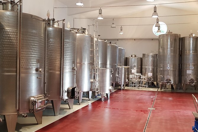 From Civitavecchia: Tuscany-Latium Wine Tour With Tastings - Optional Cascate Del Mulino