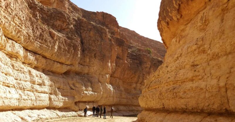 From Djerba: 2-Day Tour of Tozeur and Mountain Oasis - Pickup and Accessibility