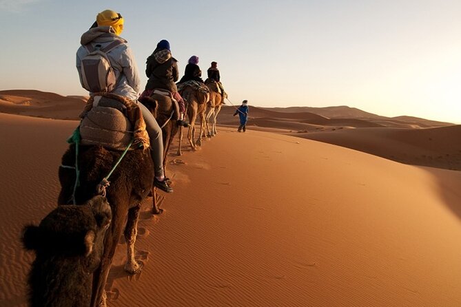 From Fes to Marrakech: 4 Day Group Tour via the Desert Merzouga - Accessibility Information