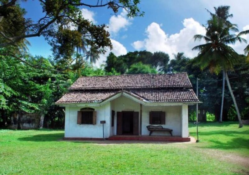 From Galle: Hidden Temples, Snakes & Coastlines Tour - Matara Snake Farm