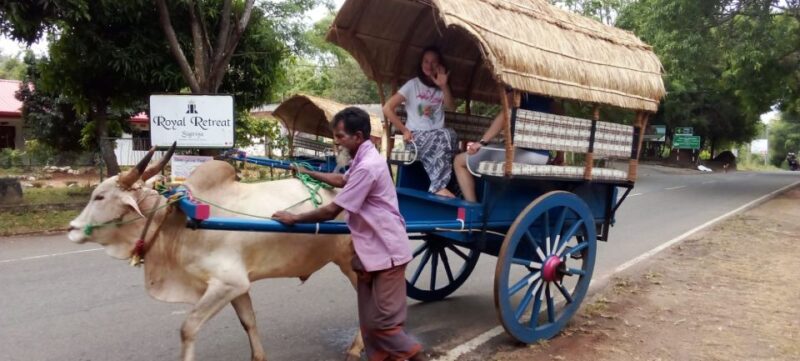 From Hikkaduwa to Sigiriya & Dambulla One Day Tour - Highlights