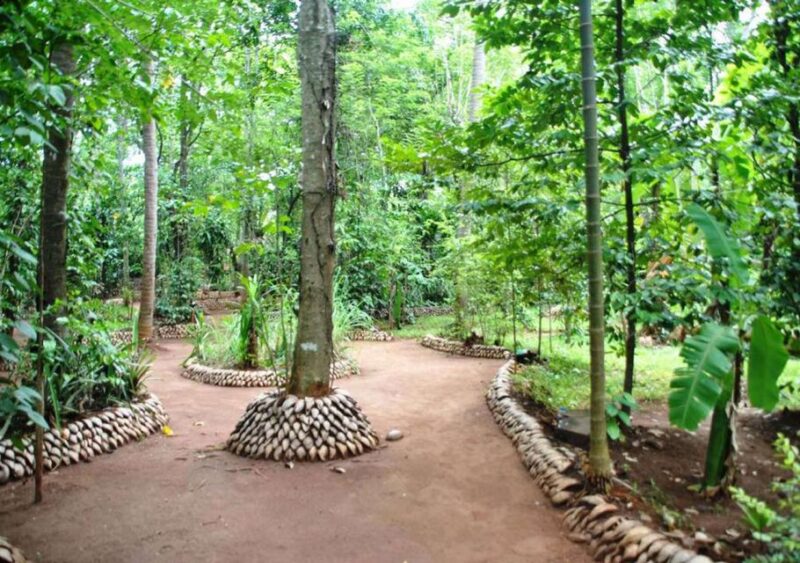 From Kandy: Traditional Spices and Crafts Tour - Woodcarving Center