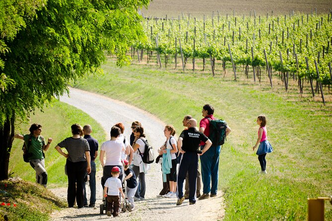 From Milan Full Day in Franciacorta 2 Wineries and Lunch - Tasting Experiences
