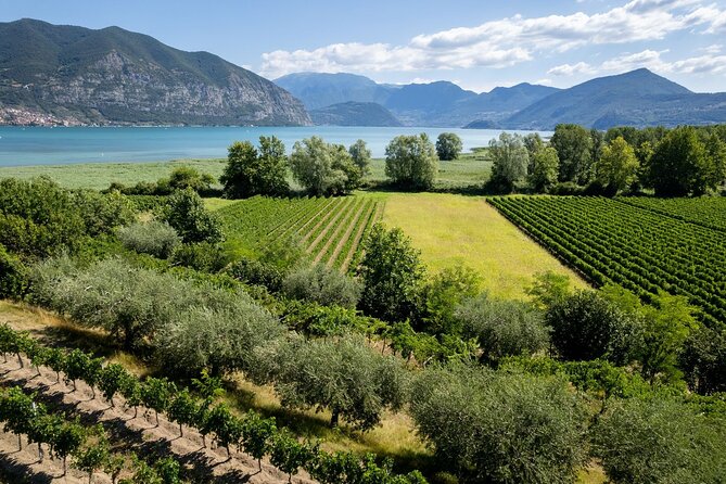 From Milan: Lake Iseo, Bergamo & Franciacorta Wine Tour - Luxury Private Transportation