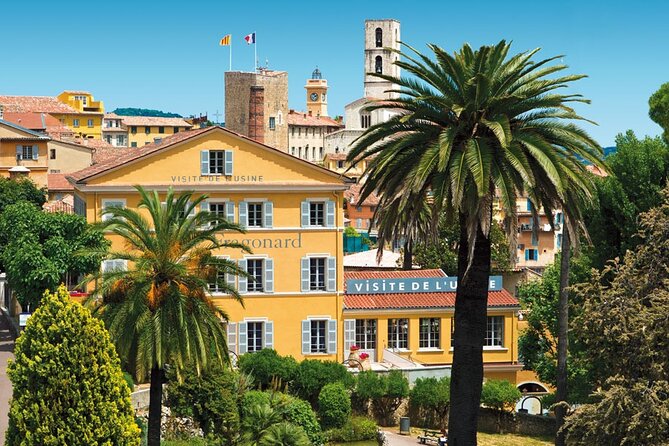 From Nice: A Full Day Tour Review - Recommended Alternatives
