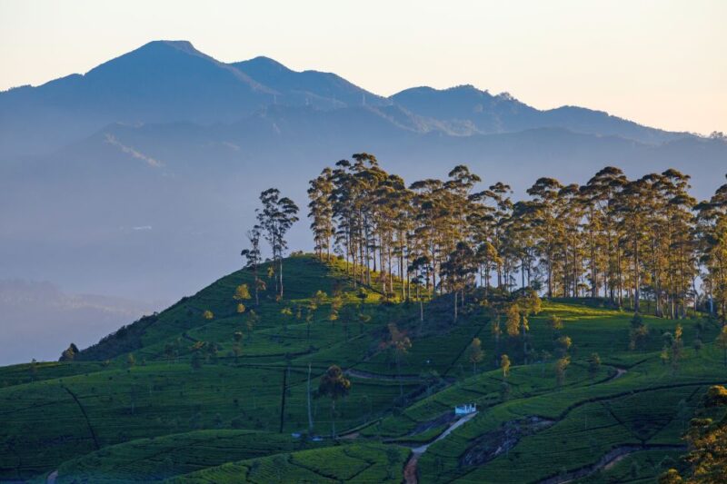 From Nuwara Eliya: Haputale Highlands Private Day Tour - Liptons Seat