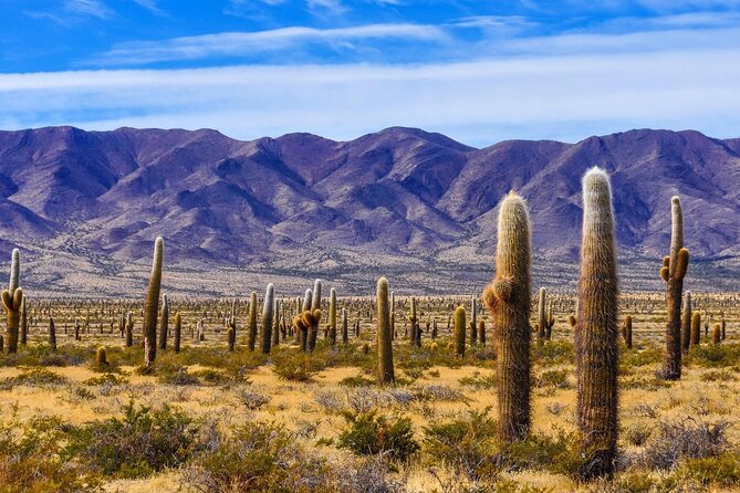 From Salta: Pack of 4 Excursions in Salta and Jujuy - Recommended Excursions