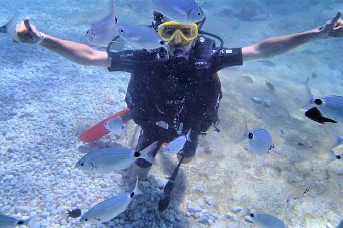 From Side, Alanya: Scuba Diving With 2 Time Dive & Lunch - Duration and Depths