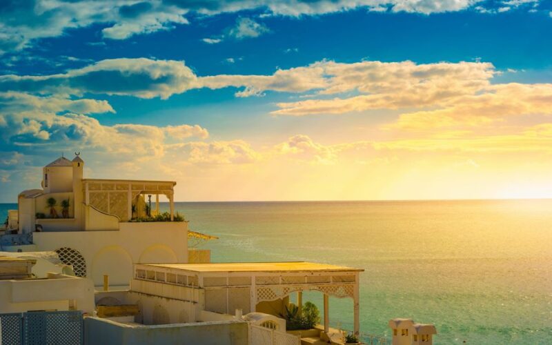 From Tunis or Hammamet: Hammamet and Nabeul Tour - Exclusions
