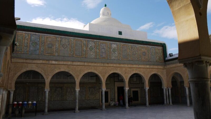 From Tunis: Unesco World Heritage Tour - Exploring Carthage