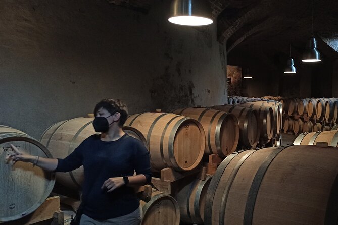 From Turin Private, Langhe Wine Tour With Transfer and Lunch - Tour Accessibility and Suitability