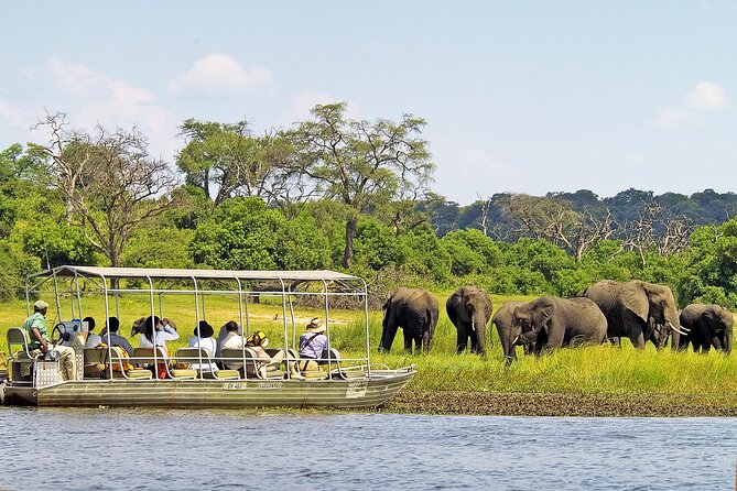 From Victoria Falls: a Full Day Chobe Safari With Buffet Lunch - Positive Reviews and Ratings