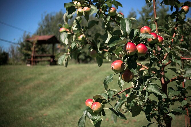 Fruit Alcohol Tasting + Velvet Orchards Audio Tour - Booking and Cancellation Policy