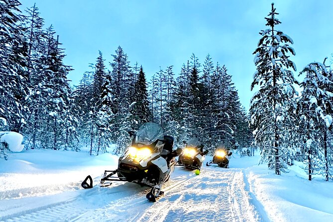 Full Day Activity With Snowmobiles in Rovaniemi - Customer Support and Product Code