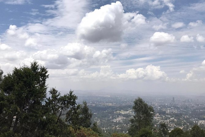 Full Day Addis Abeba City Tour - Accessibility and Participation