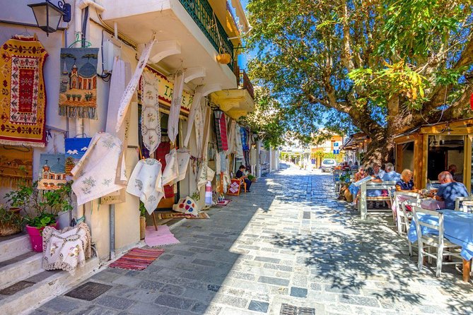 Full Day Agios Nikolaos Tour Review - Schedule and Accessibility