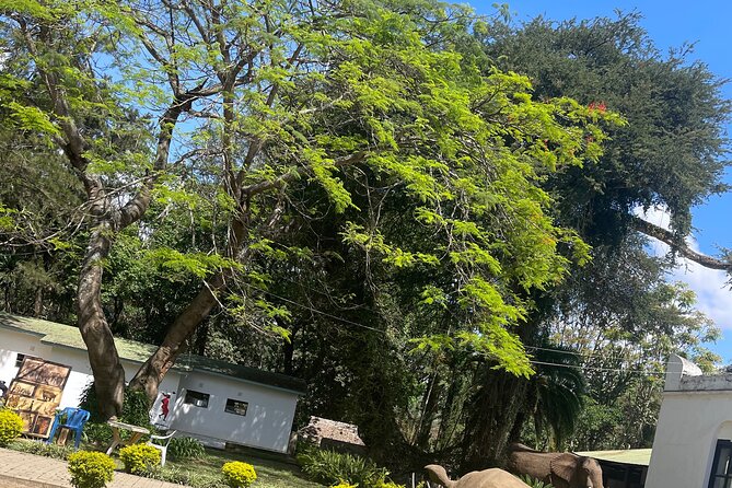 Full Day Arusha City Tour - Booking Information