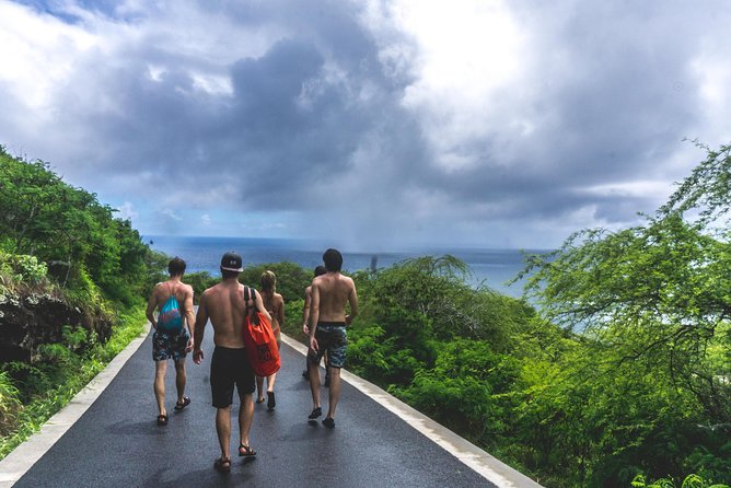 Full-Day at Los Haitises National Park - Expectations and Accessibility