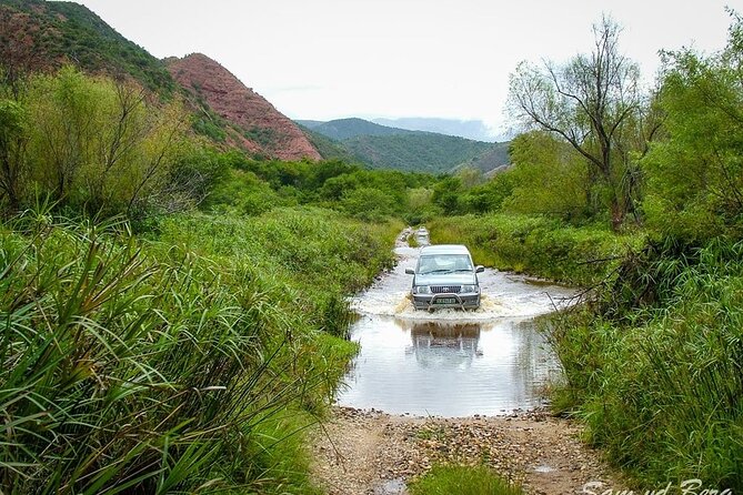 Full-Day Baviaanskloof Reserve Safari - Traveler Suitability and Accessibility