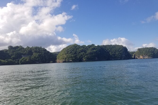 Full-Day Boat Tour of Los Haitises National Park - Host Response