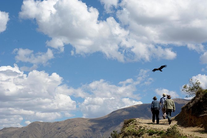 Full Day Condor Viewpoint & Inca Sites Tour - Private Service - Additional Information