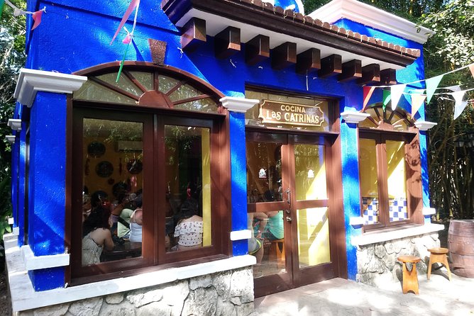 Full Day Cozumel Island Tour With Ferry, Snorkel, Virgin Beach, Buggy and Lunch - Traveler Reviews