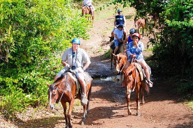 Full Day Eco Safari Adventure and Cultural Tour - Safari-style Exploration