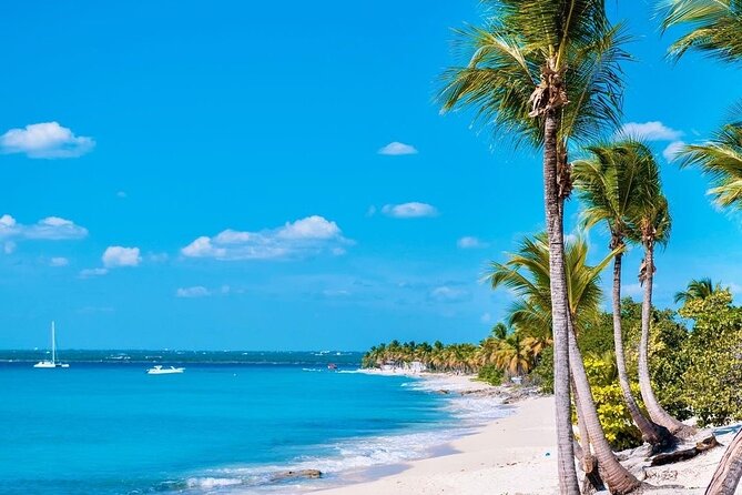 Full Day Excursion to Catalina Island From Bavaro / Punta Cana. - Group Size and Cancellation
