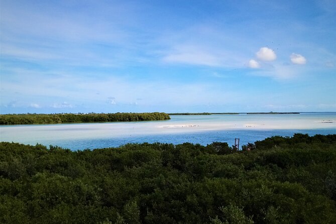 Full Day Excursion to the Best of Holbox From Riviera Maya - Health and Safety Guidelines