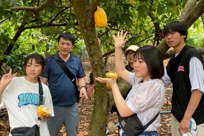 Full Day Experience to Farm and Chocolate - Booking Process