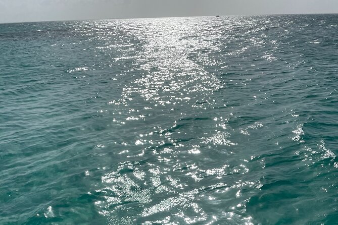 Full Day Fishing, Snorkeling, Iguana Island, Cruising, BBQ - Delectable BBQ Feast