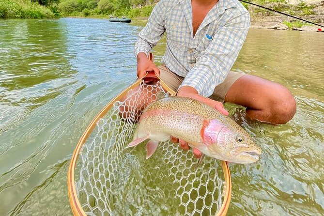 Full Day Guided Fishing Tour in Canyon Lake - What to Expect