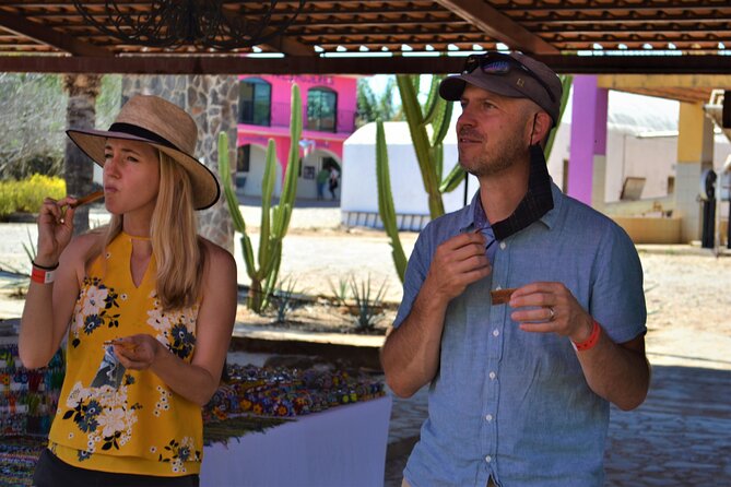 Full Day Guided Tour in Amatitán and Tequila With Tasting - Tequila Production Process