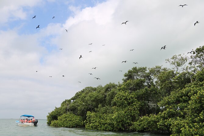 Full Day Guided Tour to Sian Kaan (Short Way) - Pricing and Cancellation Policy