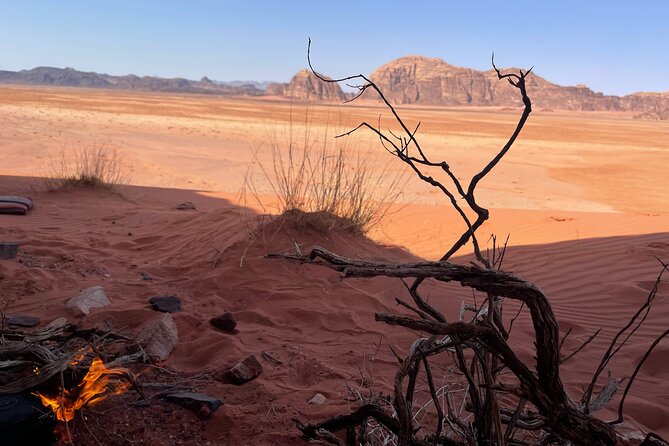 Full-Day Hiking in Wadi Rums Desert With Lunch - Review Highlights