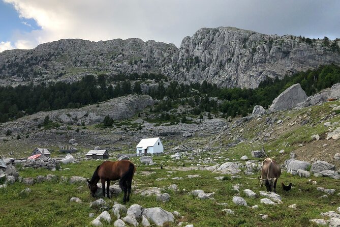 Full-Day Hiking Tour to Maganik Montenegro - Health and Safety Considerations