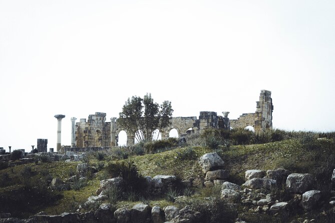 Full-Day Historical Tour to Meknes Volubilis and Moulay Idriss - Cancellation Policy