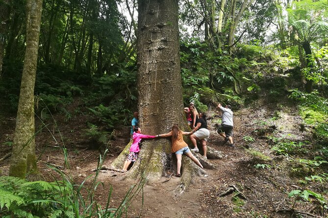 Full-Day Jeep Tour to Furnas - Tour Highlights