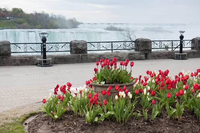 Full-Day Niagara Falls Tour From Toronto - Guest Reviews and Feedback