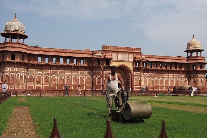 Full Day of Agra and Taj Mahal From Delhi - Customer Reviews and Ratings