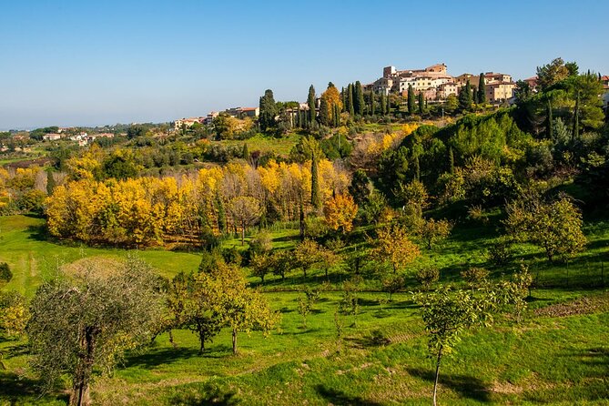 Full-Day Pisa Private Guided Tour With Visit to Local Wine Farm - Cancellation and Refund Policy