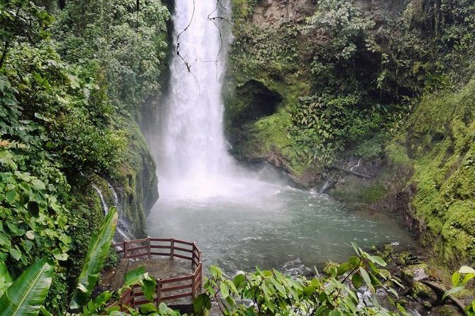 Full Day Poas Volcano, Coffee Tour and La Paz Waterfalls From San Jose - Visiting Coffee Plantation